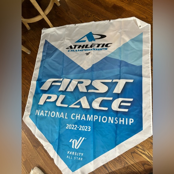 Nfinity Champions League Champion Wall Hanging Banner Flag - Picture 1 of 3